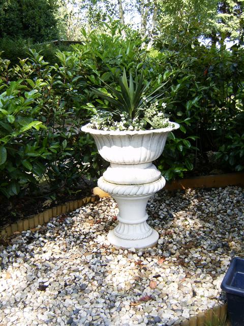 Zoom in HPIM2350.JPG