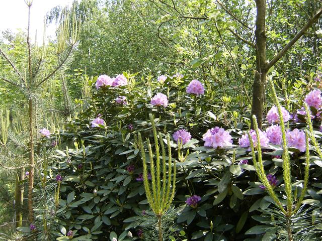 Zoom in HPIM2348.JPG