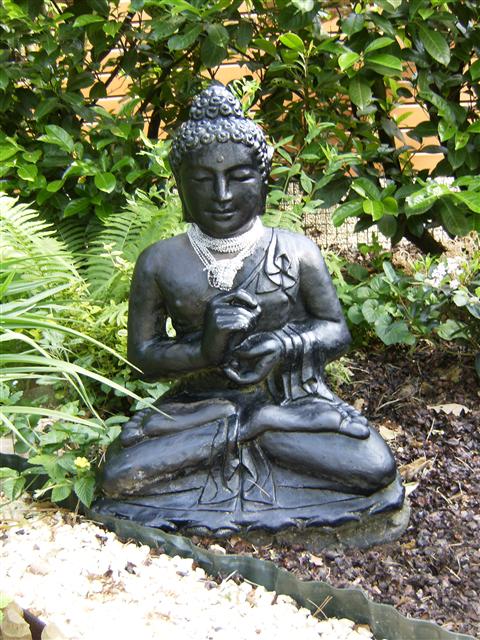 Zoom in HPIM2346.JPG