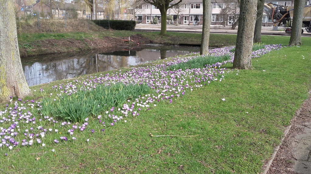20170313_122347