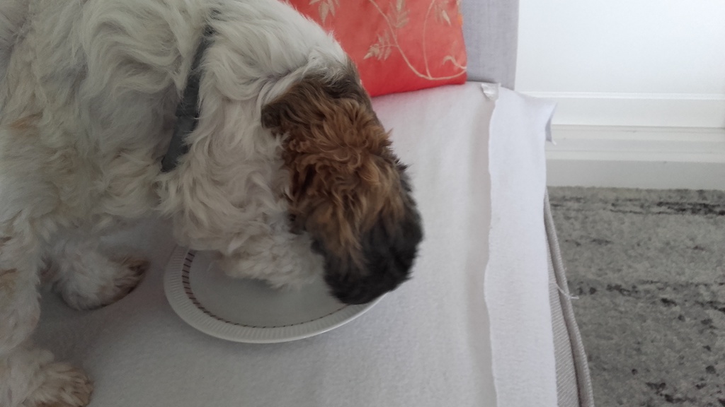 Zoom in 20170427_120838