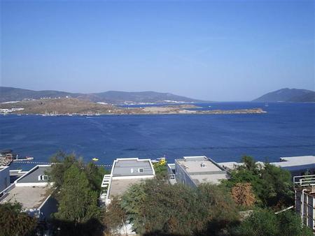 p1180025.jpg