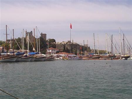 p1200043.jpg
