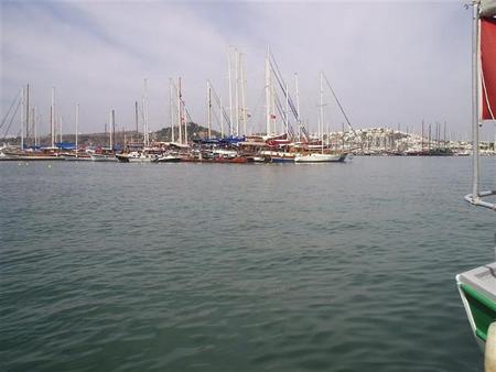 p1200044.jpg