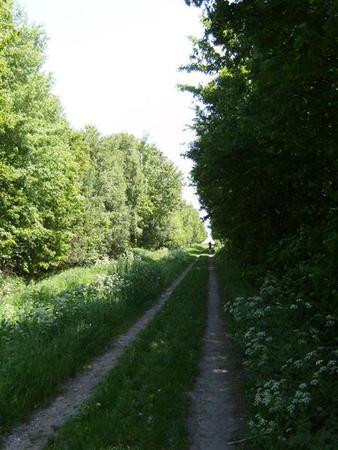 HPIM1336.JPG
