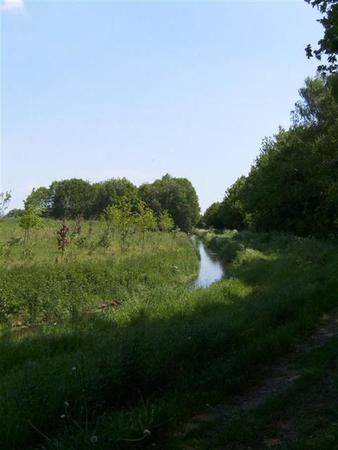HPIM1335.JPG