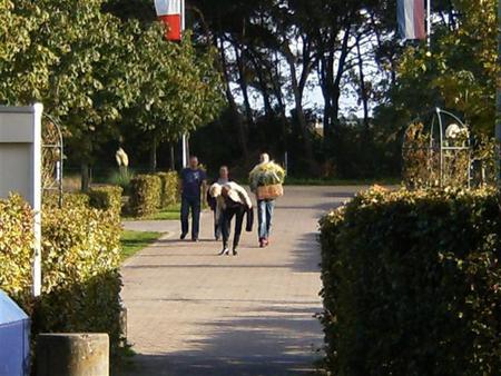 HPIM2003.JPG