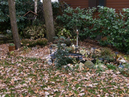 HPIM2113.JPG
