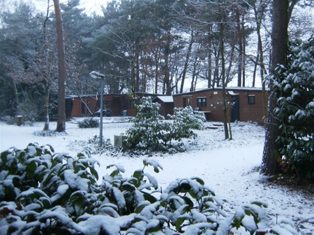 HPIM2123.JPG