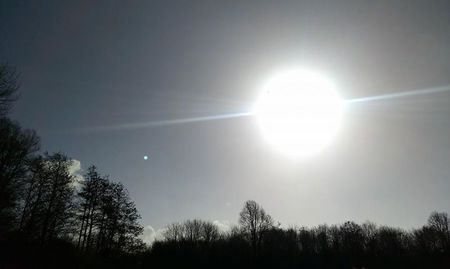 11025827_784526721616893_7640170968754531244_n