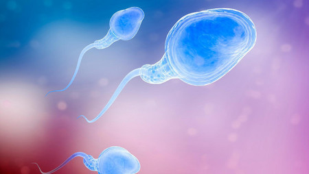 Sperma