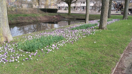 20170313_122347