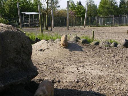hpim0689.jpg
