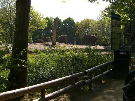 hpim0700.jpg