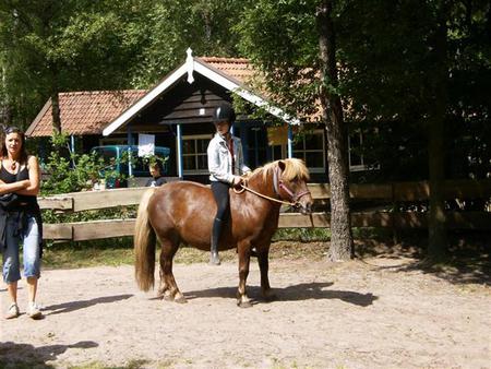 HPIM0333.jpg